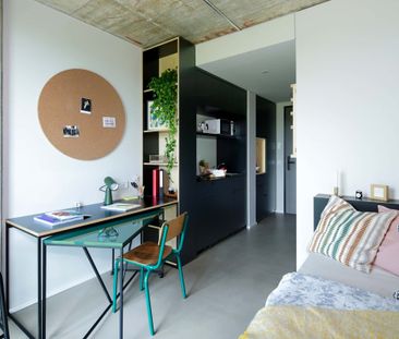 Patio - Long Term - Floor 0 - Photo 1