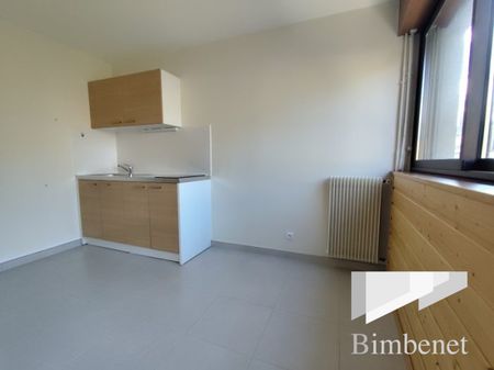 Appartement à louer, 1 pièce - Orléans 45000 - Photo 3