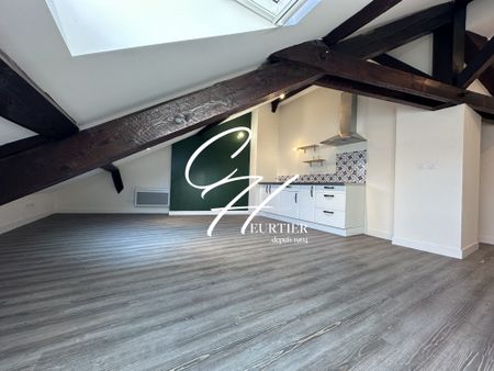 GRENOBLE - Appartement T1bis - Dernier étage - Photo 3