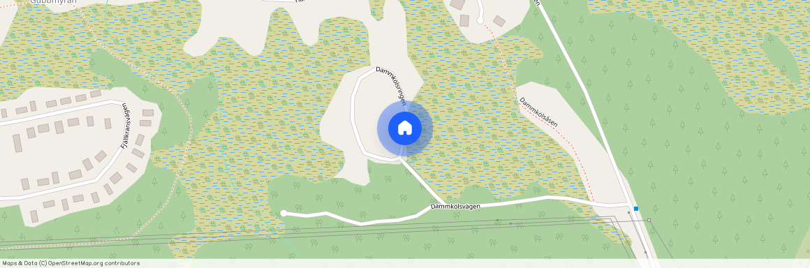 Dammkölsringen, Sälen