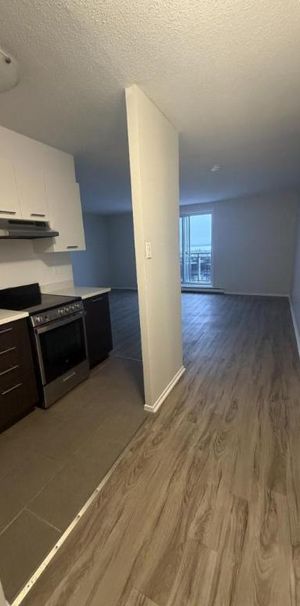 1 CH - 1 SDB - Gatineau - $1,149 /mo - Photo 1