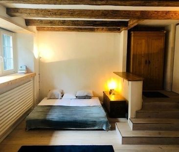 11/2-ROOM APARTMENT IN WÄDENSWIL (ZH), FURNISHED, TEMPORARY - Photo 3