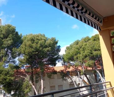Apartamento de alquiler en Paseo Pilar Coloma, 31, Voramar - Photo 4