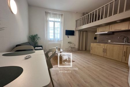Location Appartement 1 pièce 21m² PERPIGNAN 66000 - Photo 3