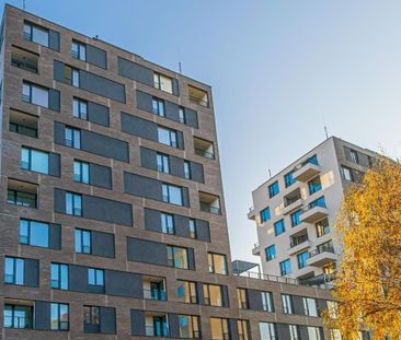 Apartment for rent, 1+KK - Studio, 32m - Photo 6