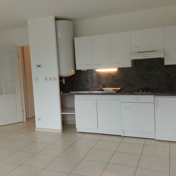 Location Appartement 1 pièce 28m² ST JEAN DE BRAYE 45800 - Photo 1