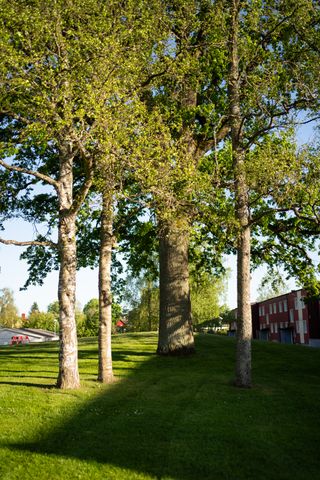 Sköldstavägen 30 A, 34231, ALVESTA, Sverige - Photo 3