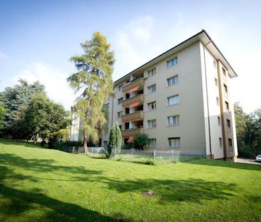 Appartement dans un quartier calme et verdoyant - CDD jusqu'au 28.0... - Photo 3