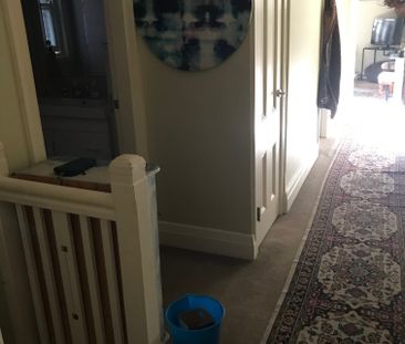 Surry Hills - Photo 4