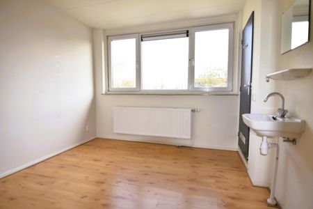 Halteriastraat 23 1035 VX Amsterdam - Foto 4