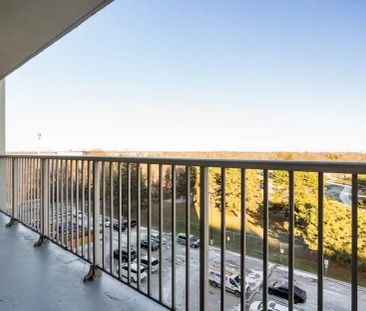 30 Tuxedo Court Apartments — Bachelor available at 30 Tuxedo Court,... - Photo 6