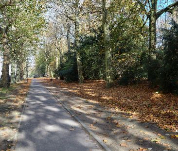 Stijlvol en ruim appartement met 3 slaapkamers en terras - Foto 3
