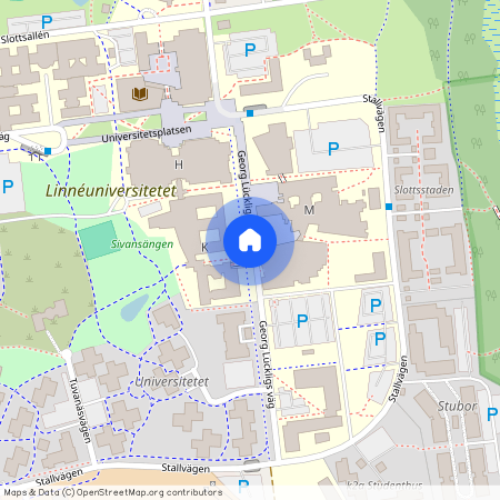 Georg Lückligs väg, Växjö