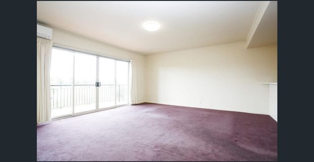 CUTE AND BRIGHT - Photo 1