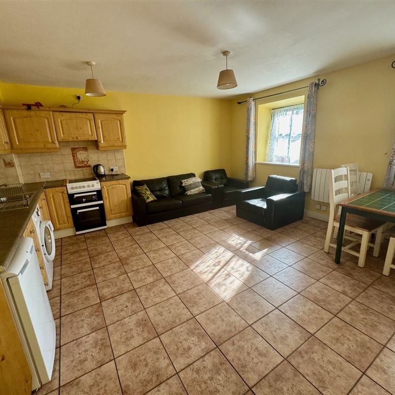 APT 15 Quay Road, Carrick-on-Shannon, Leitrim - Photo 1