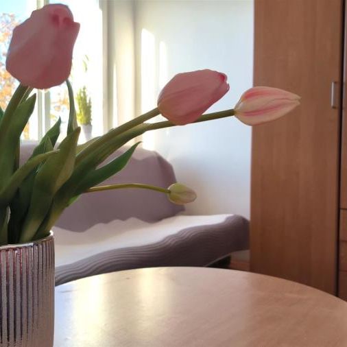 Orla, Koszalin - Zdjęcie 1