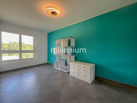 Maison champêtre en plein cœur de Meyrin - Photo 3