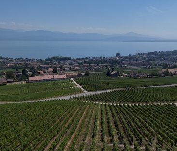 Panoramic view of the lake and Alps and optional independent studio - Foto 3
