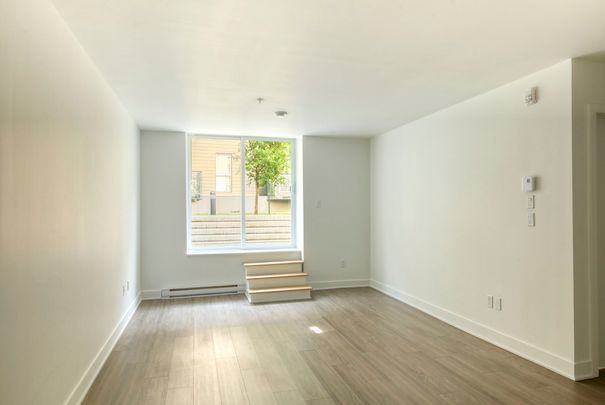 9675 Av. Papineau - Photo 1