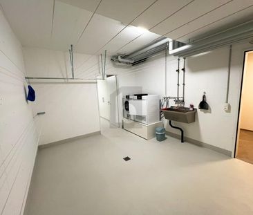 EIGENTUMSSTANDARD IN RUHIGER LAGE - Photo 5