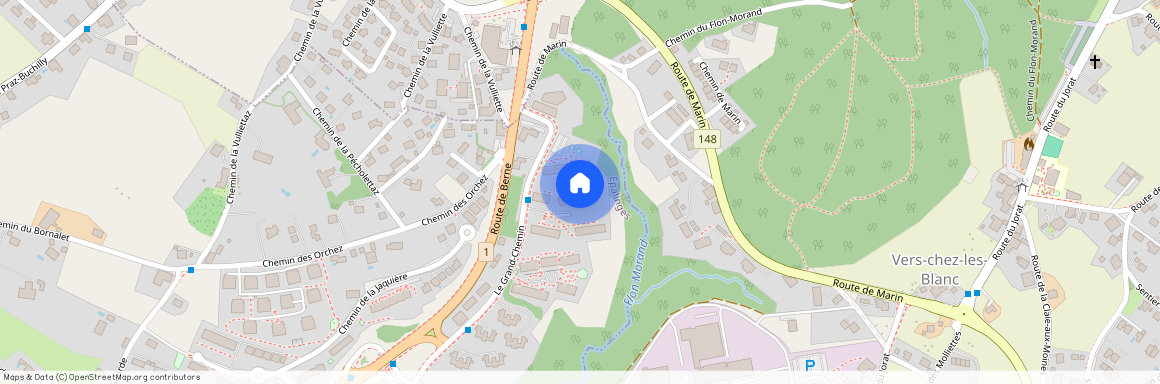 Le Grand-Chemin 126, 1066 Epalinges