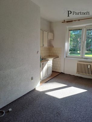 Pronájem bytu 1+kk 26 m² - Photo 1