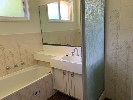 Three Bedroom Home with Large Shed - Photo 4