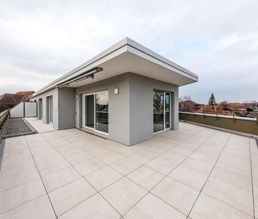 Modern 3.5-room attic apartment – “Kräuchi Areal” - Photo 5