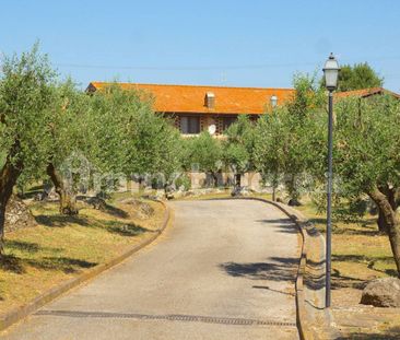 Appartamento Strada Provinciale Settevene, Nepi - Photo 6