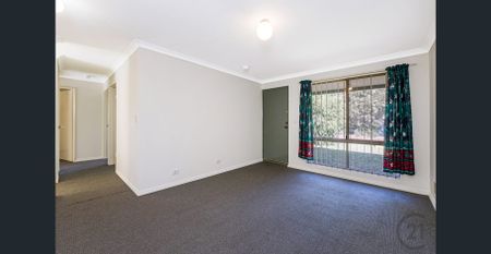 Neat and Tidy 3 x 1 - Photo 2