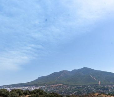 Luxury 3 room Detached House for rent in Alhaurín el Grande, Andalusia - Photo 2