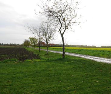 Park Farm Cottages, Selby Road, Howden - Photo 6