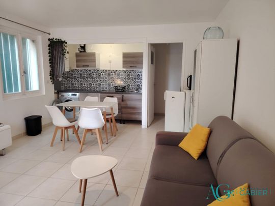 Location Appartement 1 pièce 30m² HYERES 83400 - Photo 1