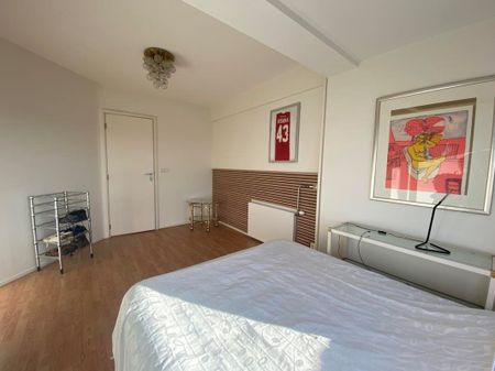 Meander 151 - Photo 3