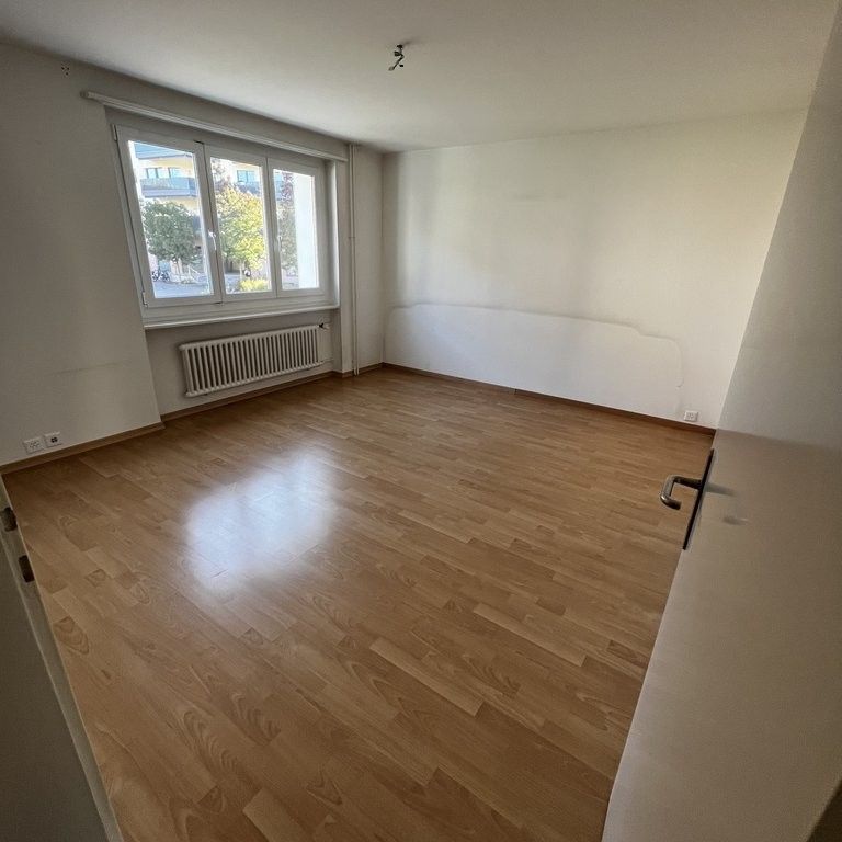 Helle 4-Zimmer-Wohnung im Erdgeschoss in Steinhausen - Foto 1