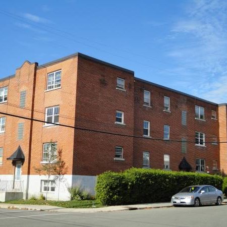 Fully Updated 2BR off of Beechwood - Photo 3