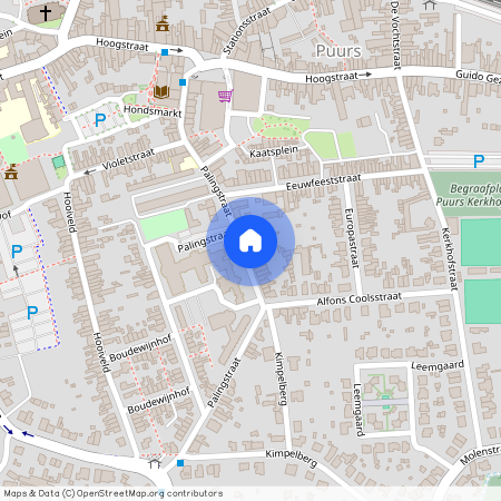 Palingstraat 63, 2870 PUURS