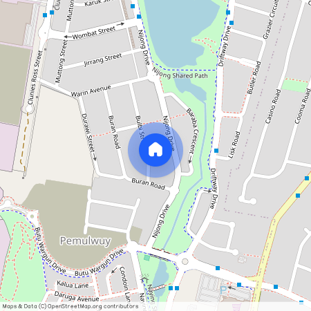 40 Bulbi Street, NSW 2145, Pemulwuy