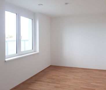 Attraktive Dachgeschosswohnung mit 2 Zimmern und Terrasse in Stockerau - Photo 4