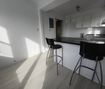 842 Rue Prieur Est - Photo 2