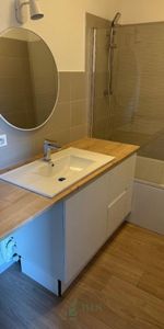 Location Appartement 3 pièces 63m² RIORGES 42153 - Photo 4