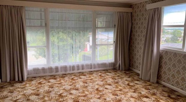 Four Bedroom House - Paeroa - Photo 1