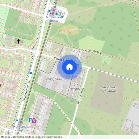 Borowieckiego, Olechów, Widzew, Łódź, łódzkie