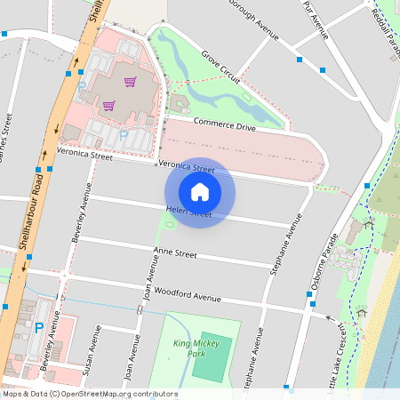 25A Helen Street, NSW 2528, Warilla