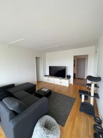Hålsjögatan, Malmö - Photo 2