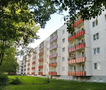Frisch sanierte 3-Raumwohnung sucht nette Mieter! - Foto 1