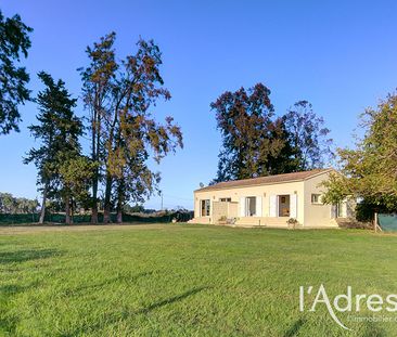 Location Appartement 3 pièces 52m² - Photo 2