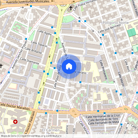 Avenida San Lázaro, Sevilla, Andalusia 41009