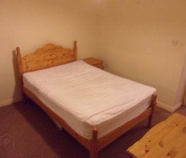 Flat 2, 42 Ulsterville Avenue, Botanic, Belfast, BT9 7AQ - Photo 6