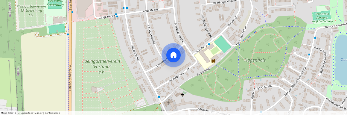 Diesterwegstraße 6 – 1.OG, 38239, – Salzgitter Thiede